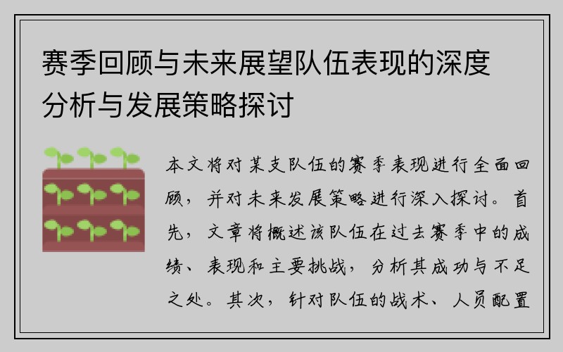 赛季回顾与未来展望队伍表现的深度分析与发展策略探讨
